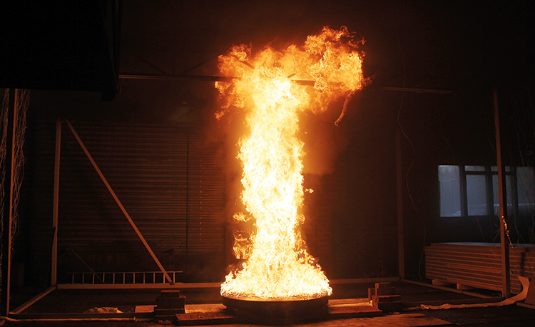 Funktionsbaserad design av bärförmåga vid brand.