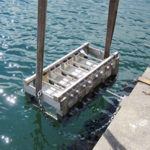 Självläkning av betongsprickor i havsmiljö