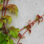 Rätt betong på rätt plats ger minskad klimatpåverkan