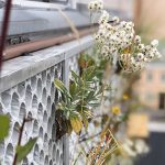 Gröna väggar på Malmös parkeringshus