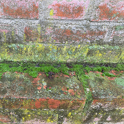 Fastighetsägare kan spara betydande resurser och förlänga tegelfasaders livslängd genom rationella underhålls- och reparationsåtgärder. Idag är det förhållandevis vanligt att man i samband med beslut om åtgärder utgår från generella mallar i stället för verkliga behov.