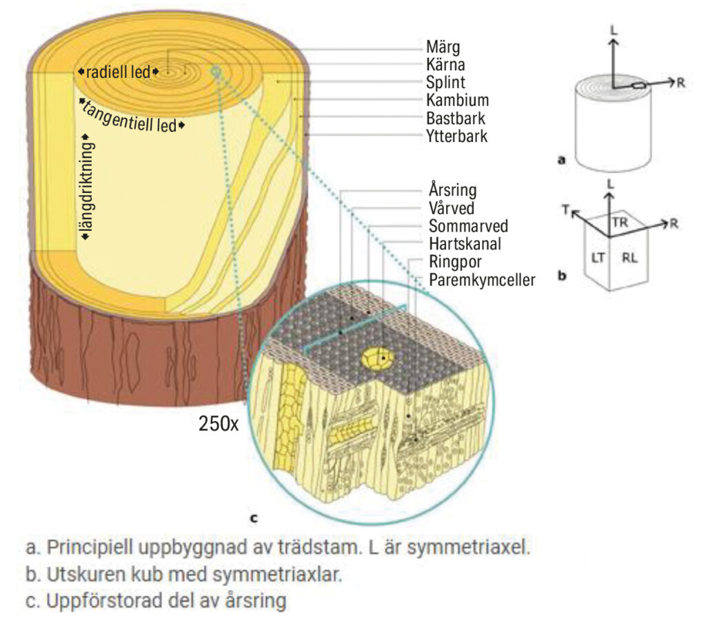 Kännedom om åldrat träs egenskaper har stor betydelse för våra kulturhistoriska byggnader.