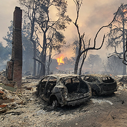 Skogsbränder är inte längre en avlägsen risk. Klimatförändringar, torra somrar och kraftiga vindar ökar risken för att byggnader ska antändas även i Sverige. Hur börjar hus brinna vid en skogsbrand?