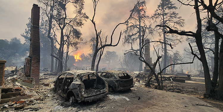 Hur skydda byggnader mot skogsbränder?