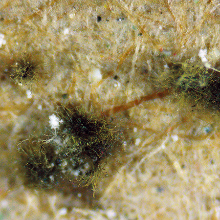 Byggsektorns ökade fokus på klimatpåverkan har lett till nya mate­rialflöden där återvinning och återbruk får en allt större betydelse. Genom att återföra material i cirkulation kan behovet av jungfruliga råvaror minska, samtidigt som avfallsmängderna reduceras.