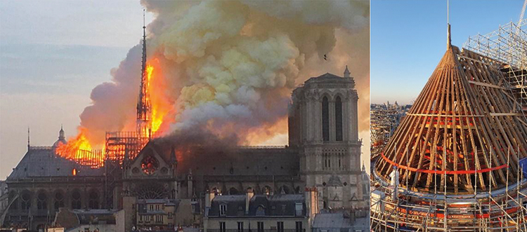 Notre Dame de Paris